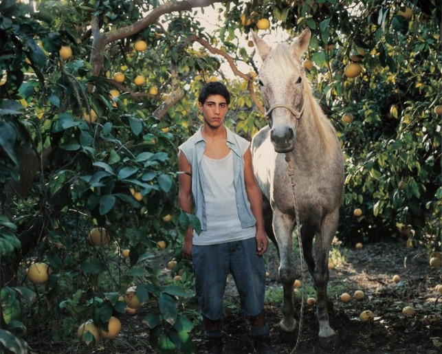 Adis Nes Boy And Horse