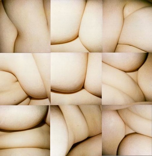 Genesis Breyer Amnion Folds